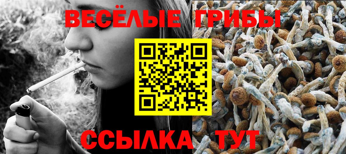Псилоцибиновые грибы прущие грибы Коммунар