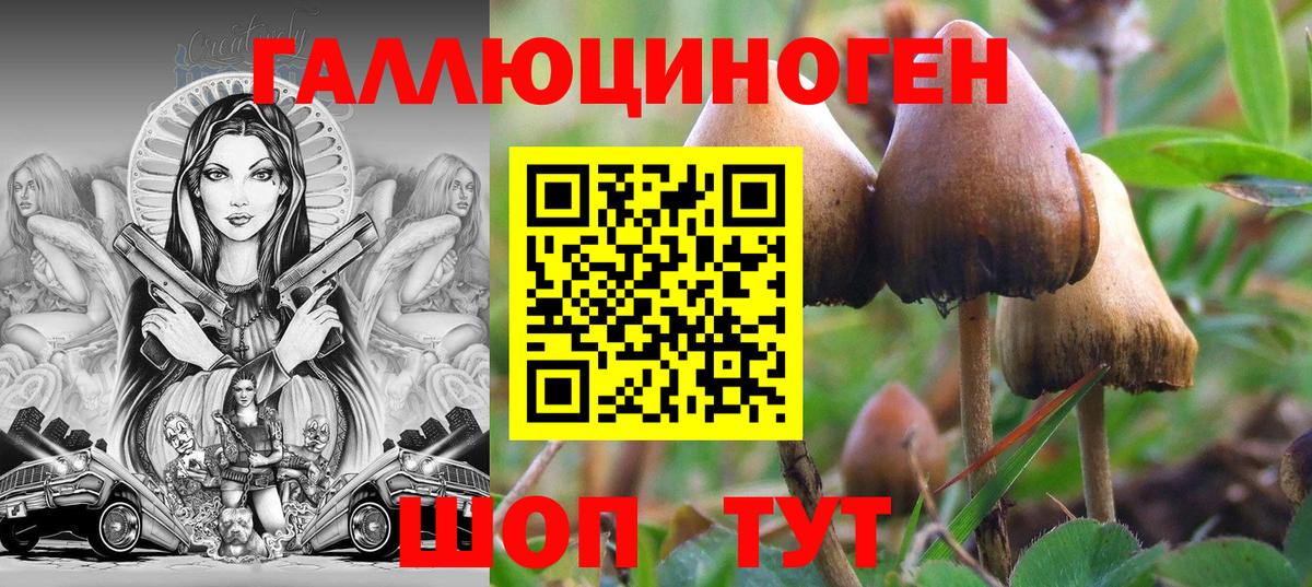 Коммунар  даркнет сайт  Вход с VPN  Псилоцибиновые грибы прущие грибы 